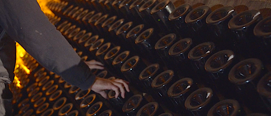 Riddling bottles at Champagne Taittinger