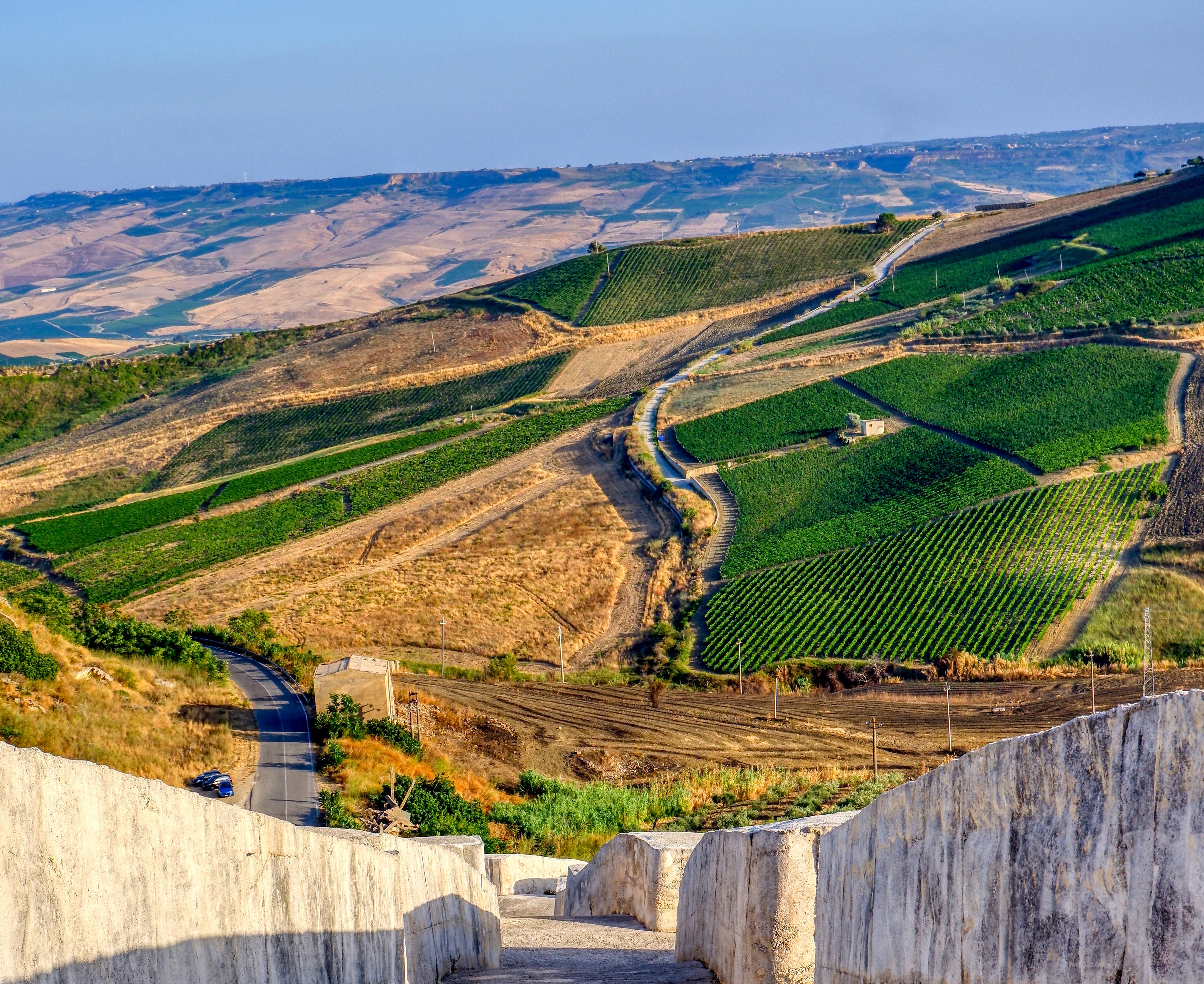 Varying aspects and slopes of vines of the interior hills of Sicily DOC. 