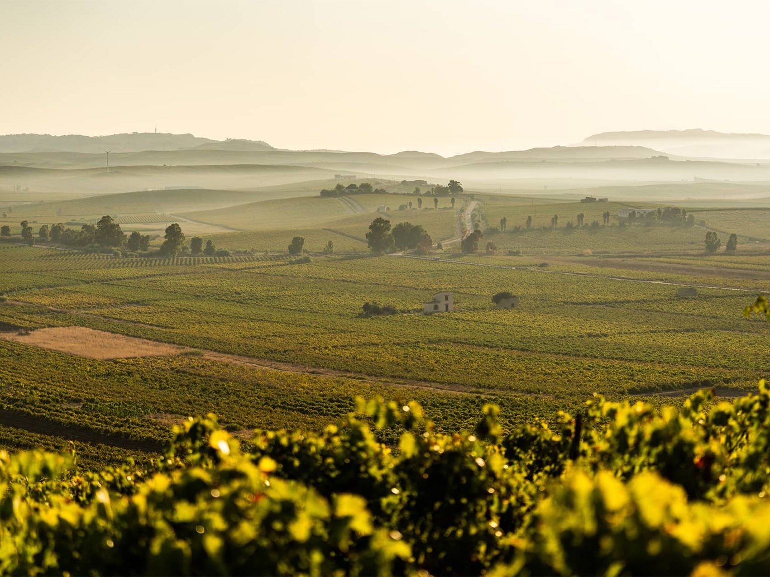 High plains of Sicily